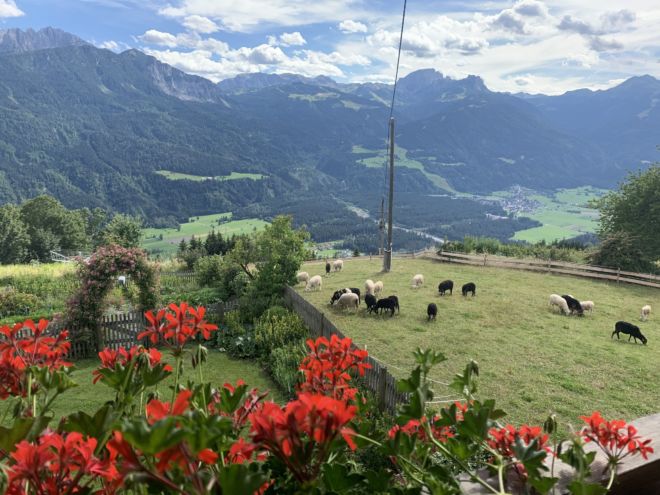 Sommer am Berg