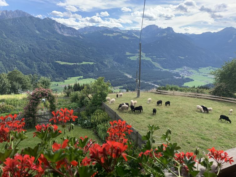 Sommer am Berg