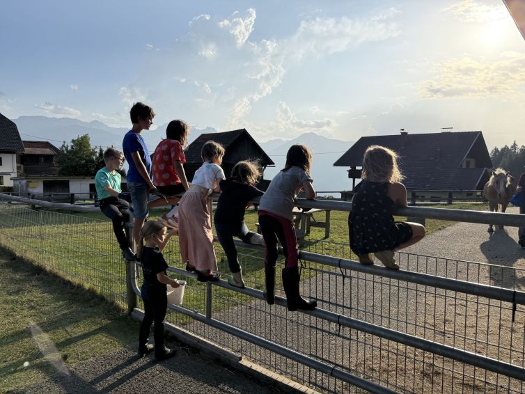 Staunende Kinder am Zaun und der Esel macht eine Showeinlage