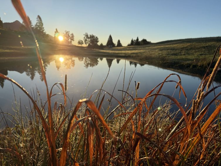 Badeteich am Bauernhof bei Sonnenaufgang