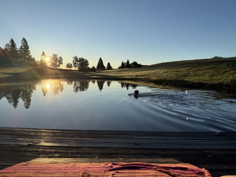 Schwimmerin im Badeteich am Bauernhof bei Sonnenaufgang