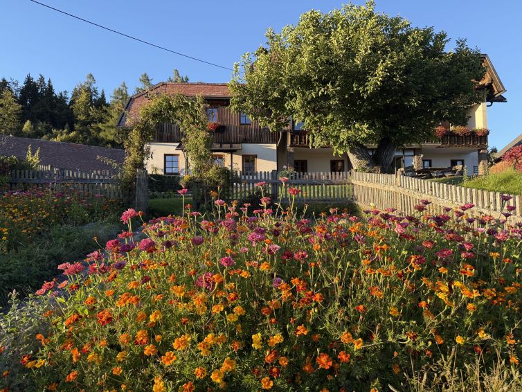 Blumengarten vor dem Haus