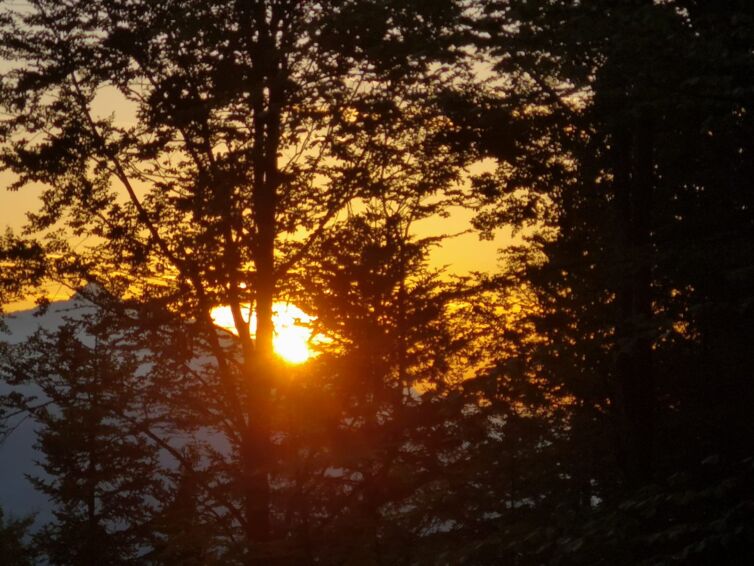 Sonnenaufgang (2)